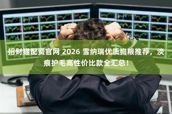 招财猫配资官网 2026 雪纳瑞优质狗粮推荐,淡痕护毛高性价比款全汇总!