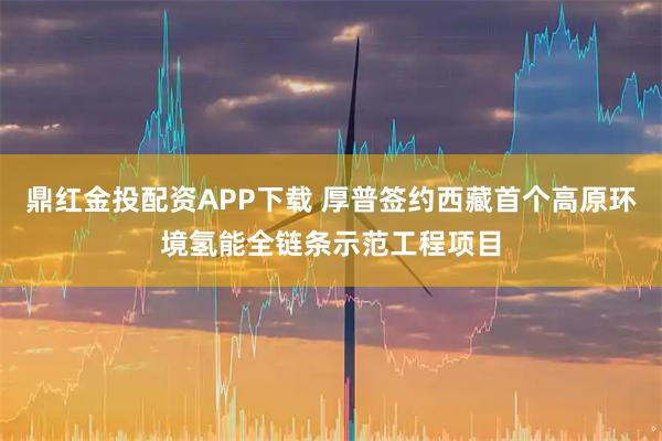 鼎红金投配资APP下载 厚普签约西藏首个高原环境氢能全链条示范工程项目