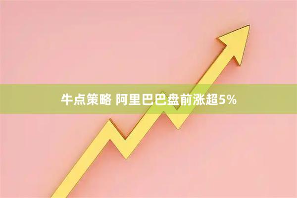 牛点策略 阿里巴巴盘前涨超5%